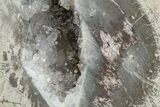 Las Choyas Coconut Geode with Amethyst Crystals - Mexico #165395-2